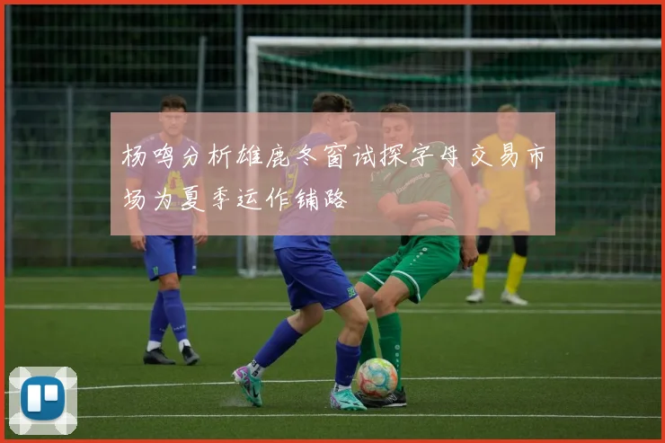 杨鸣分析雄鹿冬窗试探字母交易市场为夏季运作铺路