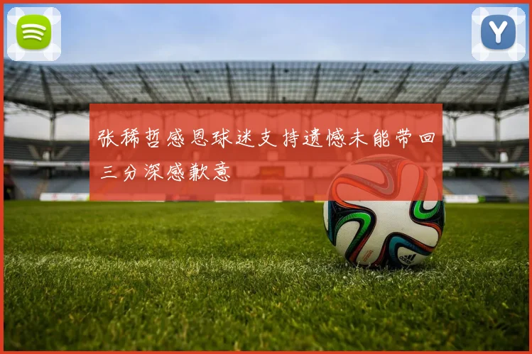 张稀哲感恩球迷支持遗憾未能带回三分深感歉意