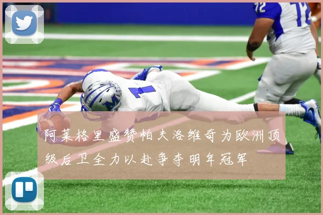 阿莱格里盛赞帕夫洛维奇为欧洲顶级后卫全力以赴争夺明年冠军